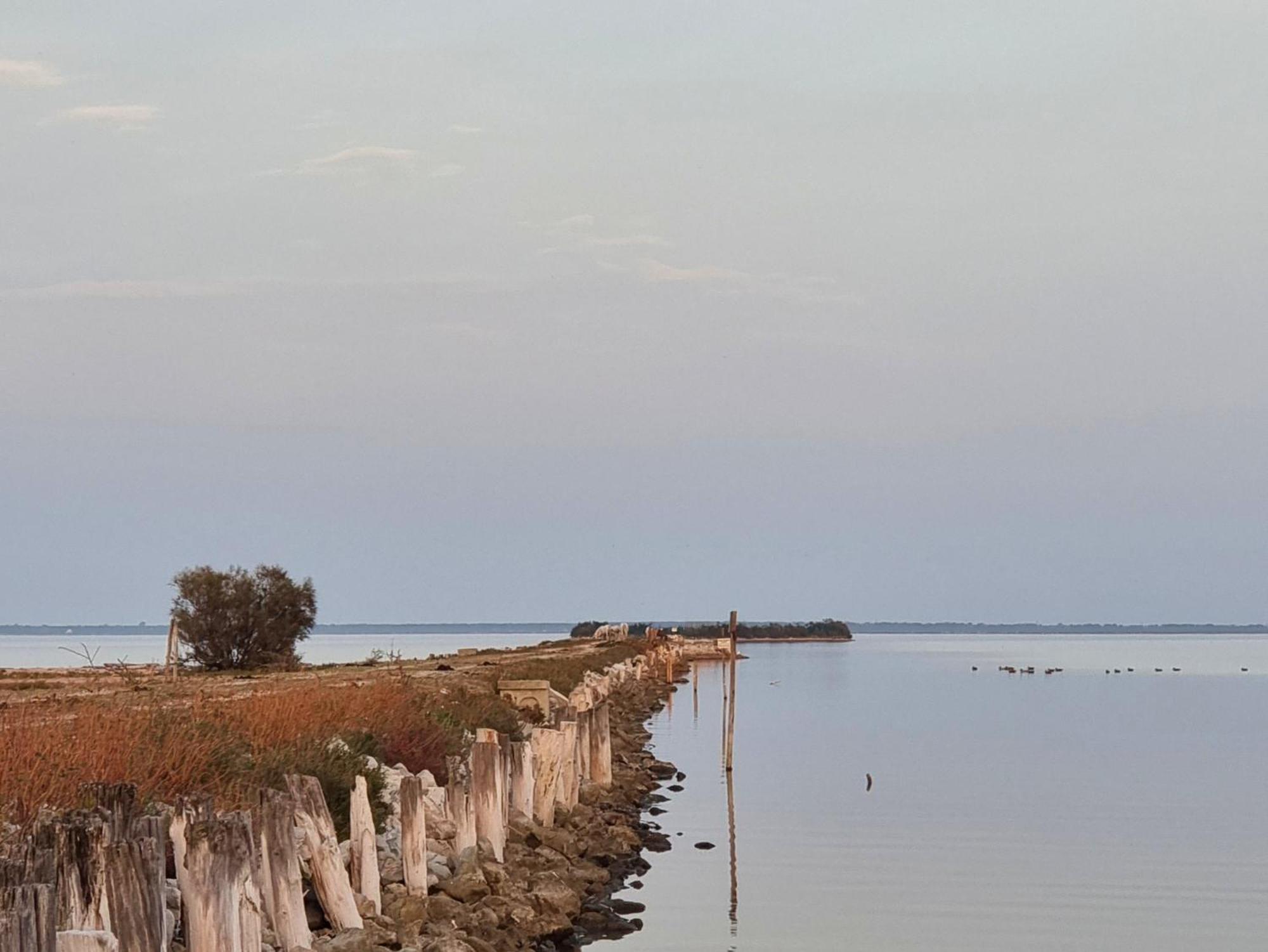 Al Ponticello Bed & Breakfast Comacchio Exterior photo